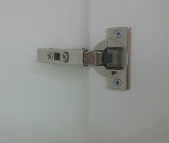 תמונה של ציר אינטגרלי